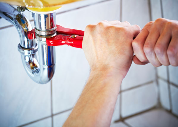 About Palmetto Plumbers